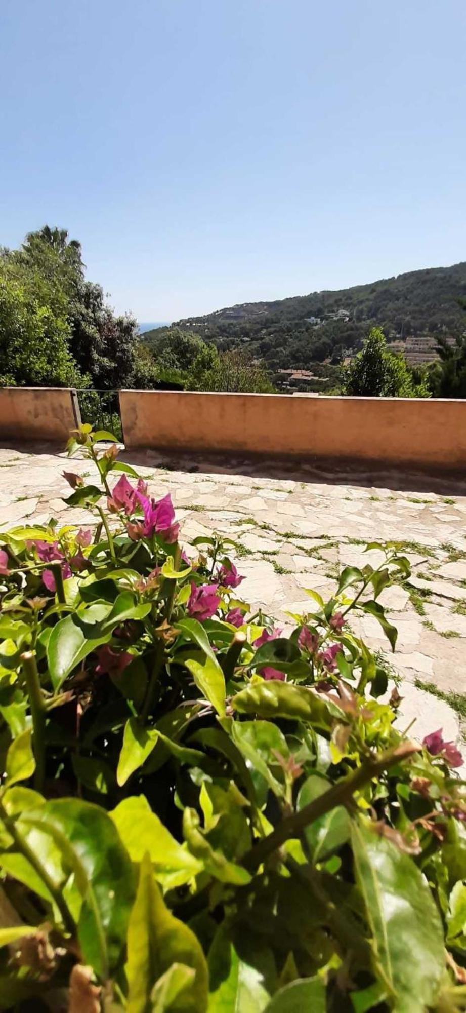 Corti Mori Sa Riera Vistas Mediterraneas ベグール エクステリア 写真